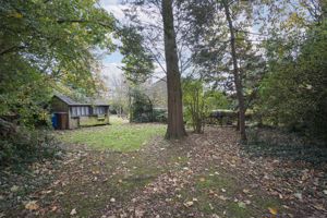 Photo 101- click for photo gallery